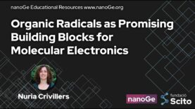 Organic Radicals as Promising Building Blocks for Molecular Electronics