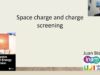 9. Space charge and charge screening