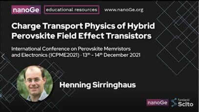 Charge Transport Physics of Hybrid Perovskite Field Effect Transistors
