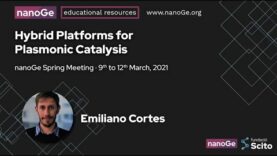 Hybrid Platforms for Plasmonic Catalysis
