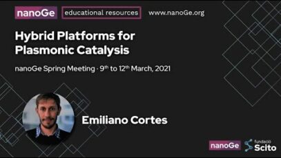 Hybrid Platforms for Plasmonic Catalysis