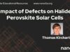 Impact of Defects on Halide Perovskite Solar Cells