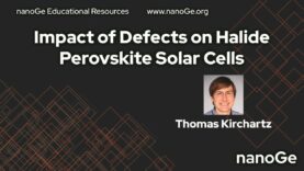 Impact of Defects on Halide Perovskite Solar Cells