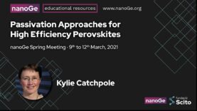 Passivation Approaches for High Efficiency Perovskites
