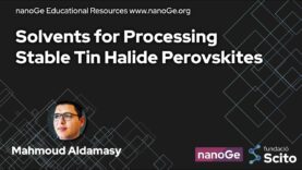 Solvents for Processing Stable Tin Halide Perovskites