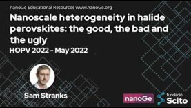 Nanoscale heterogeneity in halide perovskites: the good, the bad and the ugly
