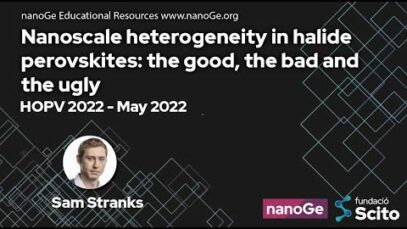 Nanoscale heterogeneity in halide perovskites: the good, the bad and the ugly