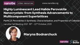 Highly Luminescent Lead Halide Perovskite Nanocrystals: from Synthesis Advancements to Multicomponent Superlattices