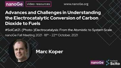 Electrocatalytic Conversion of Carboni Dioxide to Fuels