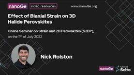 Effect of Biaxial Strain on 3D Halide Perovskites