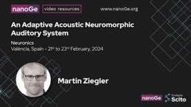 An Adaptive Acoustic Neuromorphic Auditory System