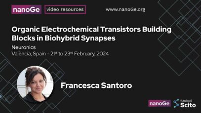 Organic Electrochemical Transistors Building Blocks in Biohybrid Synapses